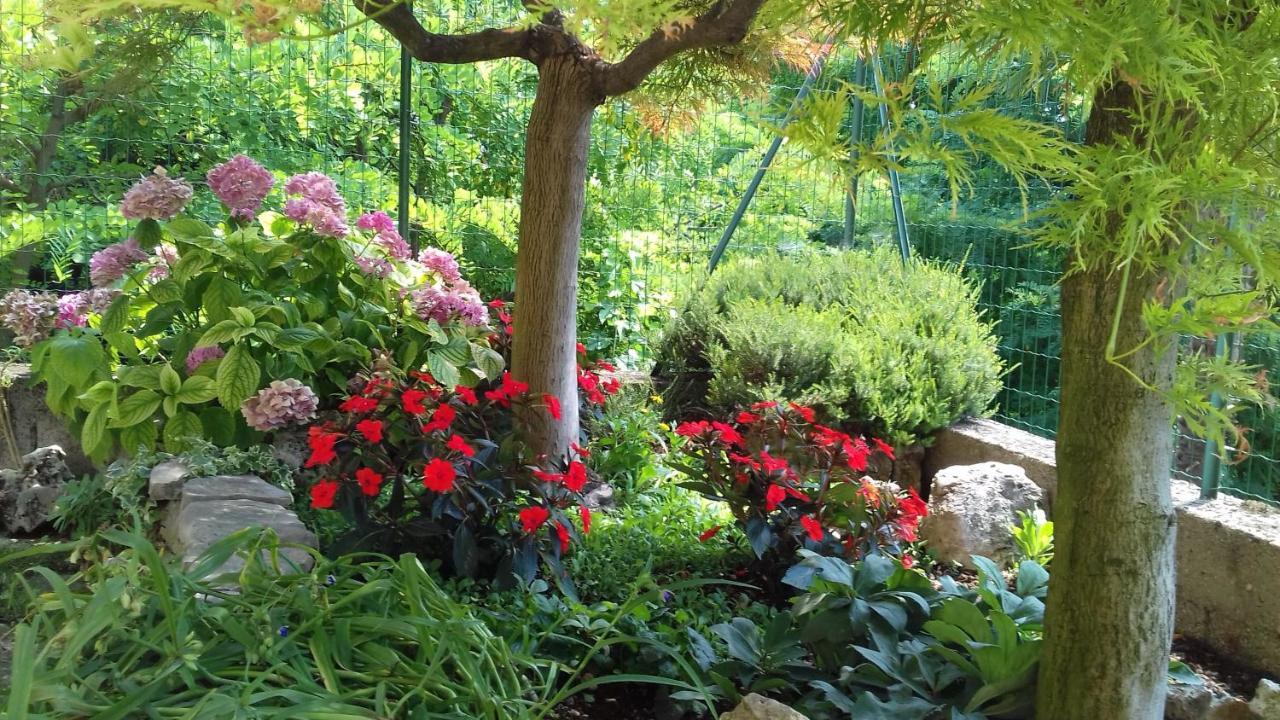 B&B Ca Di Me Premariacco Екстериор снимка
